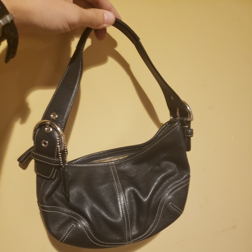 Small Hobo purse